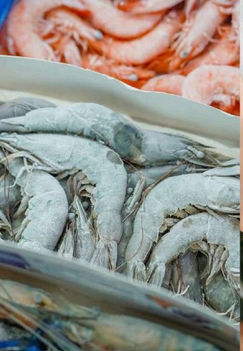 Frozen Seafood